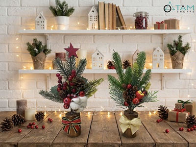 Chậu thông mini để bàn cành đỏ mọng cao 28cm đế gỗ [Nhiều kiểu] CHAUCAYGIA-19